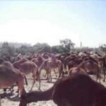 عاجل: جندي تابع لقوات حذر بأكادير ينتحر بالرصاص داخل مقر عمله، وإستنفار أمني يعقب الحادث