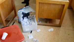 رئيس البلدية يستعطف أعضاء المجلس الجماعي خوفا من الإقالة