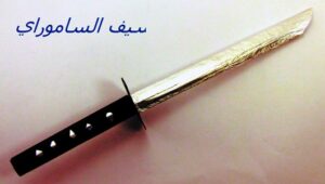 مسلسل الاعتداءات يتواصل:تلميذ يعتدي على مدير ثانوية بسيف، والأطر التربوية بالمؤسسة تعيش لحظات عصيبة…