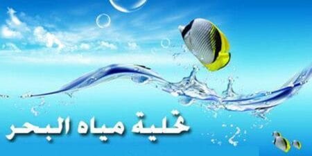 الاستعانة بالبحر لتزويد ساكنة أكادير و جهة سوس ماسة بمياه الشرب.