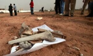 فك لغز العثور على عظام بشرية مدفونة داخل بقايا مسكن مهجور كان يأوي متطرفين.