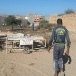 سائق متهور يتسبب في مقتل ضابط شرطة
