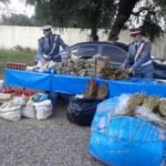 الناخب الوطني رونار يتفقد ملعبي أكادير و مراكش ويتابع مباراة الحسنية و المغرب التطواني قبل مواجهة الرأس الأخضر