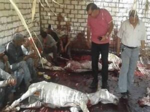 مركز الدراسات:أكثر من 4 ملايين تناولوا لحم الحمير 9 Présentation1 4