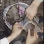 وثائقي:زلزال أكادير