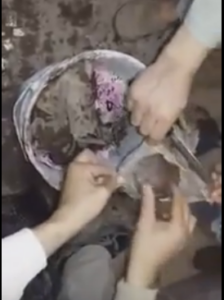 (+فيديو مثير )للمرة الثانية،العثور على طلاسم تستخدم في السحر بمقبرة أيت ملول 1 a 10 1