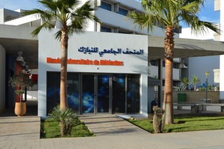 سابقة:افتتاح أول متحف جامعي للنيازك بأكادير يسهر على تسييره نادي "علم الفلك بن زهر"