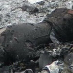 أكادير: الباعة الجائلون يحتلون مداخل وأرجاء سوق الأحد والتجار يستنكرون الدفع لإفلاسهم