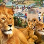 حينما اقترح بنكيران على غريمه العماري أن يتكلم عن الحب مكانه في ذكرى « السانفالانتاين » !
