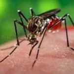 توقيف مقاول معروف رفقة عشيقته من داخل منزل للعمال