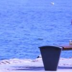 من وحي الصورة…وا بوتفليقة . الوطن غفور رحيم يوسف غريب