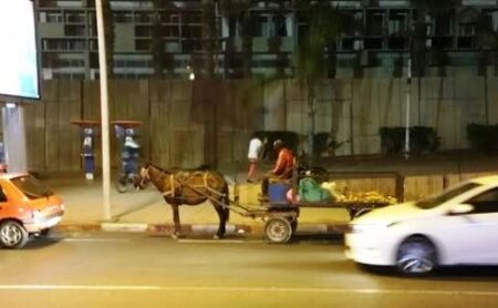 +صور: البغال و الكرارس بقلب مدينة أكادير السياحية وسط استغراب الرواد و السياح.