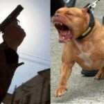 إيزوران  نوكَادير،تنظم أنشطة متنوعة بمناسبة مرور الذكرى 56  سنة على زلزال  أكَادير.