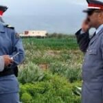 “أكادير جديرة بأطفالها” شعار التشخيص الميداني لأطفال الشوارع بأكادير