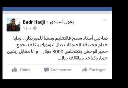 بدر