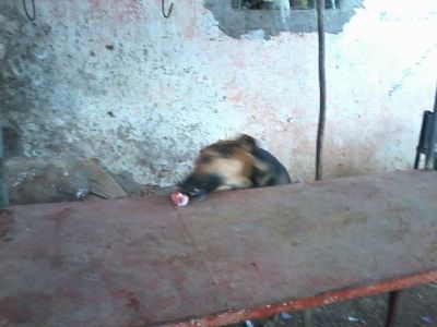 IMG-20160309-WA0020