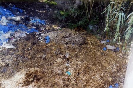poubelles