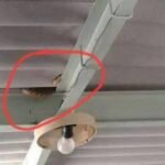 هذه هي المفاجأة “العالمية” التي تلقاها المغاربة ولم يعرفها إلا القليل :