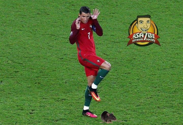 13432139_1080225915391767_1620774207642037102_n