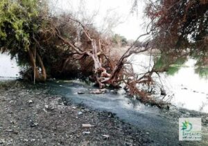 خطير(+صور):تحول محمية المحيط الحيوي للأركان الى مستنقعات متعفنة وبائية، وضحلة خطرة 2 a 114