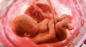 غريييب:جنين يخرج للحياة بعد 4 أشهر من وفاة أمه..