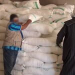 المهمة الاستطلاعية