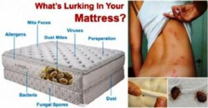 صادم لكنه حقيقي: لا ترتبوا أسرتكم مباشرة فور استيقاظكم