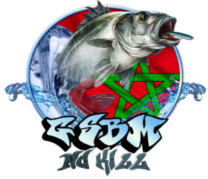 أكادير تحتضن الدوري الذهبي (Golden Sea Bass Morocco 2016)، لرياضة الصيد في البحر بطريقة السبيننج (SPINNING)