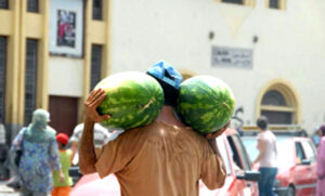 بذور الدّْلاح :فِياغْرا طبيعية مُحفِّزة للخصوبة و دواء للضعف الجنسي!