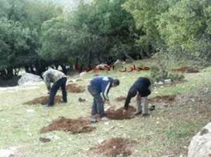 اشتوكة أيت باها: نهب الأملاك الغابوية والتلاعب في الصفقات على طاولة منظمة حماية المال العام