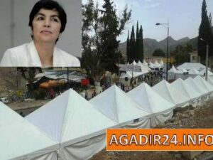 حسنا ما فعلت السيدة العدوي… لأن العسل سيتحول إلى حنظل