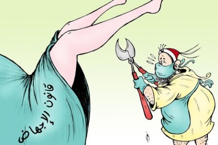 بالفيديو.. الإجهاض محلل شرعًا فى الدين الإسلامى!!!! بالفيديو.. الإجهاض محلل شرعًا فى الدين الإسلامى!!!!