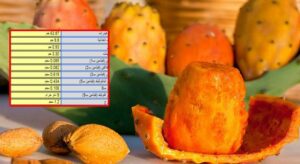 معلومات صحية ستصدمك عن… “الهْنْديَّة “