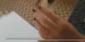 صادم:غشاء بكارة بـ 50 درهم،وبهذه الطريقة تنصب بعض البنات على الشباب الراغب بالزواج