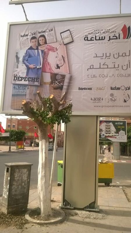 غضب فايسبوكي بعد قطع شجرة لتتبيث إشهار جريدة حزبية بايت ملول