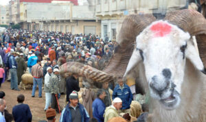 فلكي : هذا هو أول أيام عيد الأضحى المبارك بالمغرب