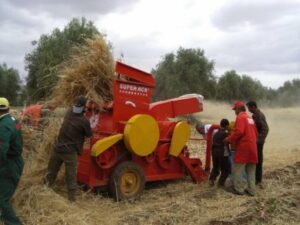 فاجعة:آلة حصاد و درس تحول جسد فلاح إلى أشلاء في مشهد مهول وسط ذهول زملائه