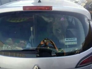 حكاية “أنثى الحمار” التي خلقت الحدث وسط “الطرامواي”…