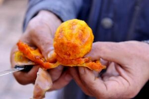 انتبهوا:فاكهة الصبار الشوكي “الهندية” تقتل شخصا بأحد الدواوير..