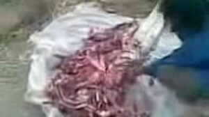 جزار يبيع لحوم الحمير للمواطنين بمنطقة تزروالت