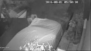 شوفو الشفار لي كيشفر وقت الفجر