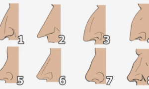 صدق أو لا تصدق: هذا ما يقوله عنك شكل أنفك