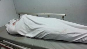 زفاف يتحول إلى مأتم بعد وفاة العروس متأثرة بلدغة عقرب مسمومة.