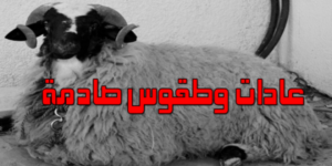 فظيع:دم الخروف ومرارته وعظم الكتف وعضوه التناسلي أخطر أنواع السحر والشعوذة التي يستخدمها المغاربة في طقوس عيد الأضحى