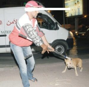 الأمن يطلق الرصاص لتوقيف “بزناز” استعان بسيفين وكلاب شرسة للهروب