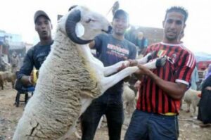 عاجل … رسميا عيد الأضحى بالمغرب يوافق 12 شتنبر الجاري