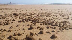 عااجل بالصورة:مقدوفات غريبة يلفظها شاطئ انزا بأكادير