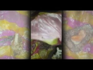 بالفيديو ..العثور على سحر خطير ببني ملال و ها شنو فيه !!!