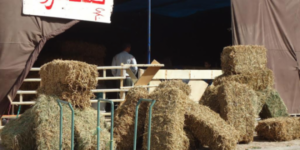 عائلات مصدومة بعد أن سرق صاحب فندق  خرفان زبنائه وفر إلى وجهة مجهولة