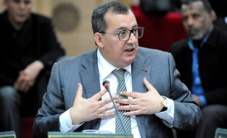 أكادير:موظفو قطاع الكهرباء ينتفضون ضد التحكم و الاستبداد ويتهمون الفاسي الفهري بدعمه أكادير:موظفو قطاع الكهرباء ينتفضون ضد التحكم و الاستبداد ويتهمون الفاسي الفهري بدعمه